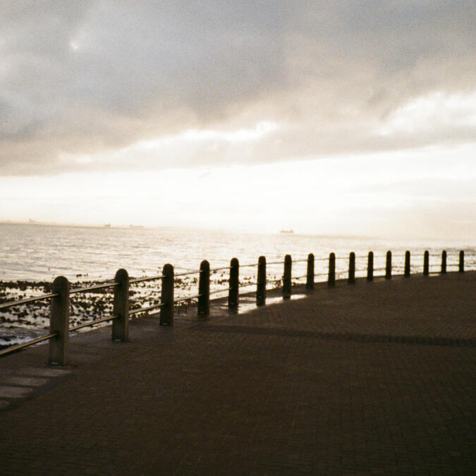 Sean Friedman Contact Information